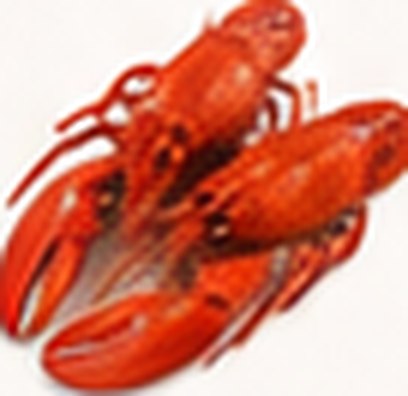 Western Australian lobster.