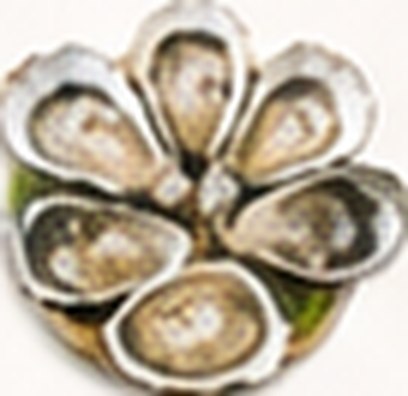 Fresh oysters.