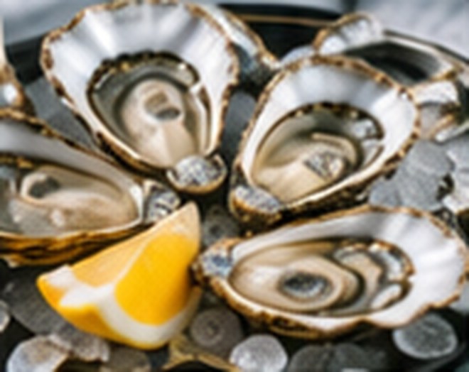 Fresh oysters on the half shell with a lemon wedge.