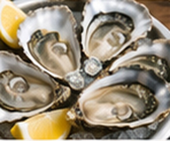 Fresh oysters on the half shell with lemon.
