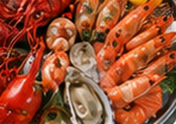 The Ultimate Seafood Spread with a full selection of Christmas seafood.